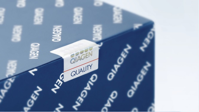 Протеиназа К для удаления белков