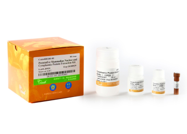 Набор ProteinExt® для экстракции белков ядра и цитоплазмы из клеток и тканей млекопитающих, 50 реакций
