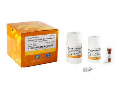 Набор ProteinExt® для выделения митохондрий из культур клеток млекопитающих, 50 реакций