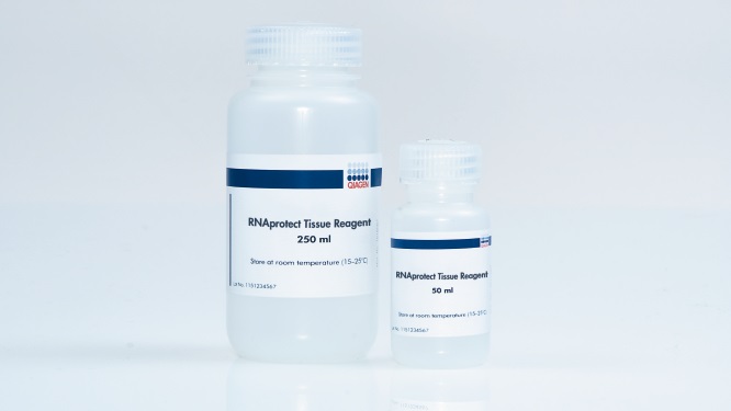 Набор для стабилизации РНК RNAlater
