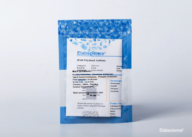 Антитела кролика к IgG (H+L) крысы, конъюгат с пероксидазой хрена (HRP) (0,5 мг/мл), 120 мкл