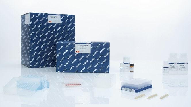 Набор реагентов для выделения ДНК из крови в планшете QIAamp 12 по 96 образцов