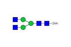 Стандарт Glyko® 2-AA NGA2 (G0) (100 pmol)