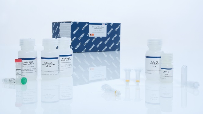 Набор реагентов для выделения РНК из крови  QIAamp RNA Blood Mini Kit (50)