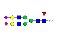 Стандарт Glyko® 2-AA A2F (G2FS2) (100 pmol)