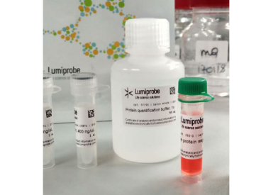 200× краситель QuDye Protein Quantification Reagent для количественного определения белка (0,25—5 мкг), 1,5 мл
