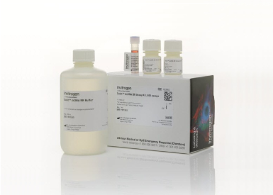 Набор Qubit dsDNA BR Assay Kit для количественного определения двухцепочечной ДНК, 4—2000 нг, 500 реакций