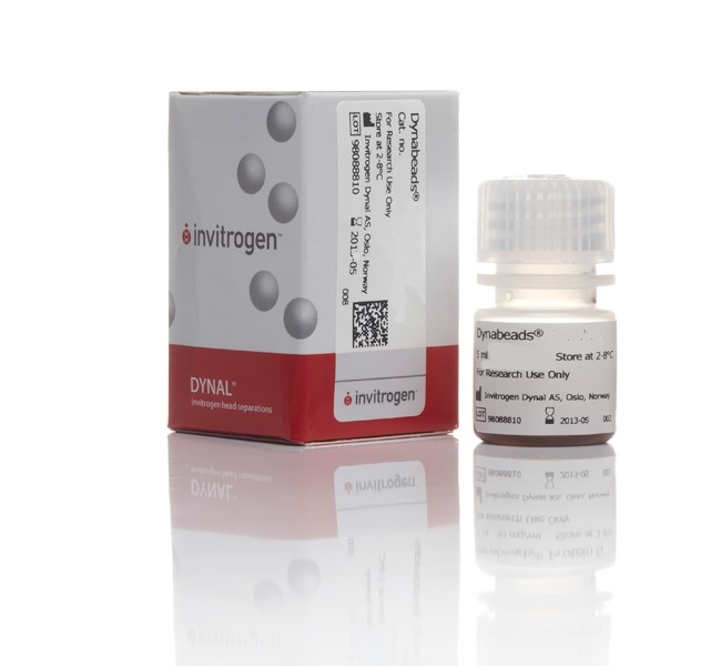 Магнитные частицы DYNABEADS M-450 RAT ANTI-MOUSE IgM 5 мл (для выделения 2х10Е9 кл) (не для использования в медицинских целях)
