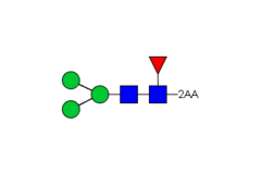 Стандарт Glyko® 2-AA M3N2F (100 pmol)