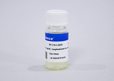 Антимикотик амфотерицин B (Amphotericin B) (250 мкг/мл), 10 мл