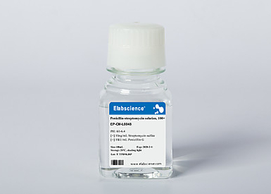 Пенициллин (10 000 ед/мл) + стрептомицин (10 000 мкг/мл) + амфотерицин B (25 мкг/мл), 100 мл