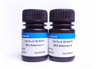 Хемилюминесцентный субстрат пероксидазы хрена ECL Substrate для вестерн-блоттинга и ИФА, чувствительность 10 пг, 100 мл