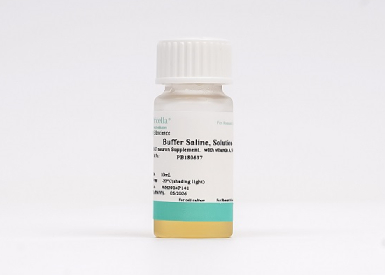 50× бессывороточная добавка для культивирования нейронов B-27, с витамином A, 10 мл