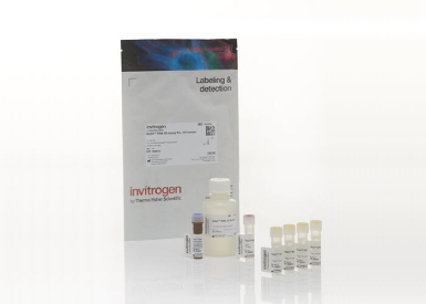 Набор Qubit RNA HS Assay Kit для количественного определения РНК, 4—200 нг, 500 реакций