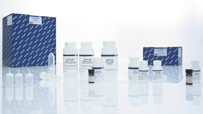 Набор реагентов для выделения ДНК из крови QIAamp DNA Blood Maxi Kit (50)