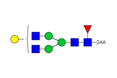 Стандарт Glyko® 2-AA NA2G1F (G1F) (100 pmol)