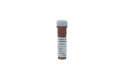 Стандарт Glyko® 2-AA Glucose Homopolymer Standard (200 pmol)