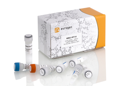 Набор MMLV RT kit для синтеза первой цепи кДНК, 50 реакций по 20 мкл