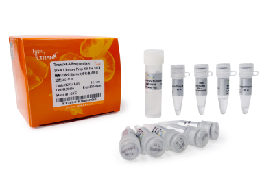 Набор TransNGS® Fragmentase DNA Library Prep Kit for MGI® для подготовки библиотек ДНК, 12 реакций