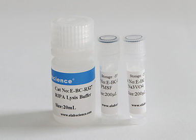 Буфер RIPA для лизиса клеток млекопитающих и экстракции белков, 100 мл
