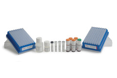 Набор GlykoPrep Rapid N-Glycan Preparation with InstantPC(96-ct)