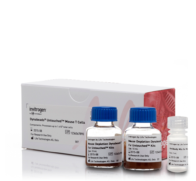 Магнитные частицы DYNAL MOUSE T CELL NEGATIVE ISOLATION KIT (не для использования в медицинских целях)