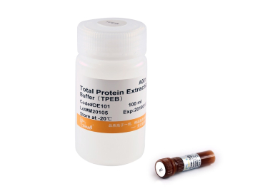 Набор ProteinExt® для экстракции общего белка из клеток и тканей млекопитающих, 100 мл