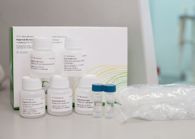 Набор для выделения плазмидной ДНК (до 20 мкг из 1-5 мл культуры E. coli) (на колонках), 250 реакций