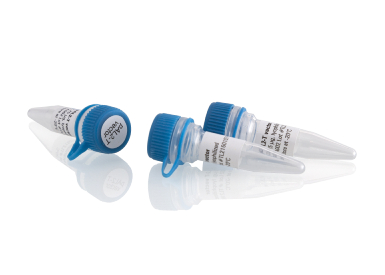 Вектор для быстрого клонирования ПЦР-продуктов pAL2-T, лиофилизат, 25 реакций