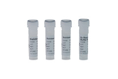 Сиалидаза Glyko® Sialidase A