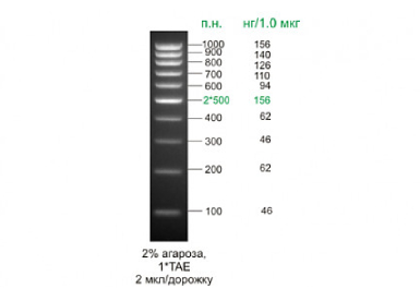 Маркеры длины ДНК Step 100 (10 фрагментов 100 - 1000 п.н.) (0,1 мг/мл), в буфере для нанесения (красители BPB и XC FF), 50 мкг