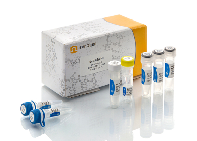 Набор Quick-TA kit для клонирования ПЦР-продуктов, 50 реакций