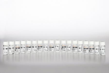 Золотая розга Solidago virgaurea