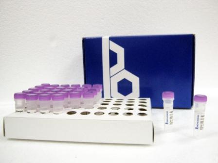 Рекомбинантный профилин пшеницы Tri a12