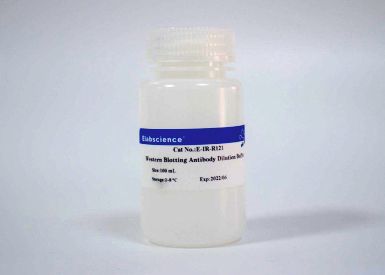 Буфер для разведения антител для вестерн-блоттинга Western Blotting Antibody Dilution Buffer, 200 мл