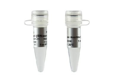 Дезоксирибонуклеаза I (ДНКаза I), не содержит РНКаз (3 е.а./мкл), 1500 e.a.