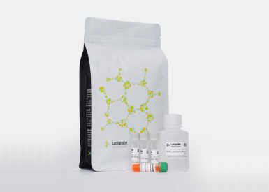 Набор QuDye Protein Quantification Kit для количественного определения белка (0,25—5 мкг) + пробирки, 100 реакций