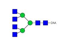 Стандарт Glyko® 2-AA NGA4 (A4) (100 pmol)