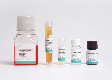 Набор для хондрогенной дифференцировки МСК мыши (из костного мозга), 100 мл