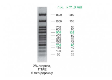 Маркеры длины ДНК Step50 plus (13 фрагментов 50 - 1500 п.н.) (0,1 мг/мл), в буфере для нанесения (красители BPB и XC FF), 50 мкг