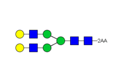 Стандарт Glyko® 2-AA NA2 (G2) (100 pmol)