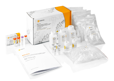 Набор RNA Solo для выделения РНК на колонках из клеток и тканей человека и животных, бактерий, дрожжей, 50 реакций