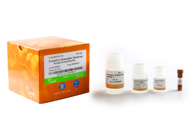 Набор ProteinExt® для экстракции мембранных белков из клеток и тканей млекопитающих, 50 реакций