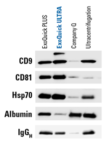 Набор ExoQuick® ULTRA EV для выделения экзосом из плазмы и сыворотки, 20 реакций