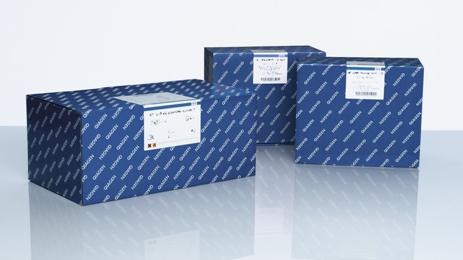 Набор реагентов для выделения ДНК из фекалий QIAamp Fast DNA Stool Mini Kit (50)