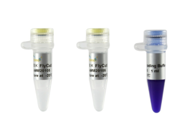 Эндонуклеаза рестрикции для ускоренного гидролиза FlyCut® PstI (сайт CTGCA^G) (20 е.а./мкл), 5000 е.а.