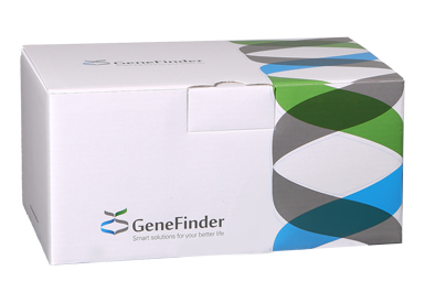 Набор реагентов для HLA-типирования методом "реалтайм" GeneFinder HLA-ABCDRB1DQ RealAmp kit, 6 тестов