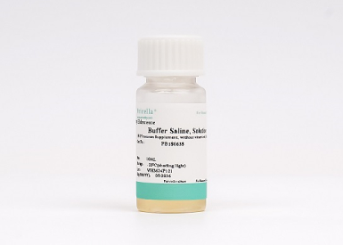 50× бессывороточная добавка для культивирования нейронов B-27, без витамина A, 10 мл