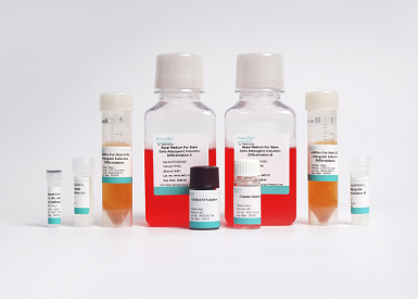 Набор для адипогенной дифференцировки МСК человека (из костного мозга), 400 мл