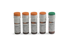 Реагенты для мечения гликанов GlykoPrep InstantPC Labeling Module (96-ct)